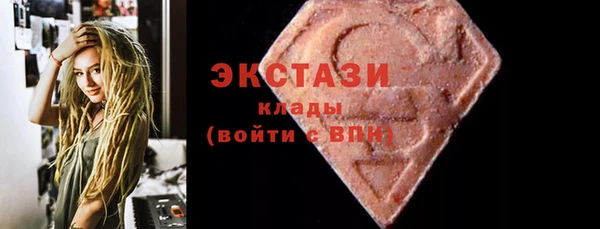 соль ск Каменка