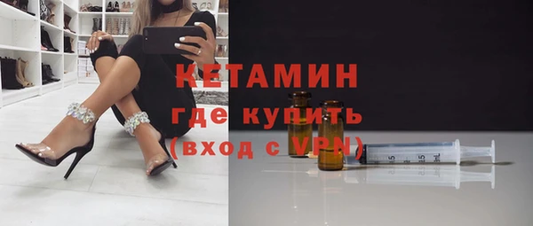 соль ск Каменка